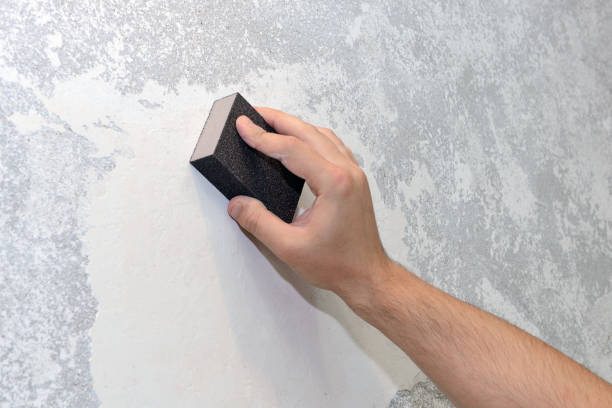 Best Environmental Consulting for Mold Prevention  in De Witt, NY