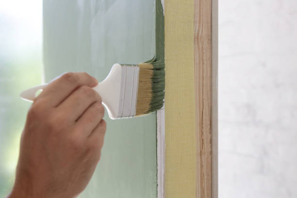 Best Basement Mold Removal  in De Witt, NY