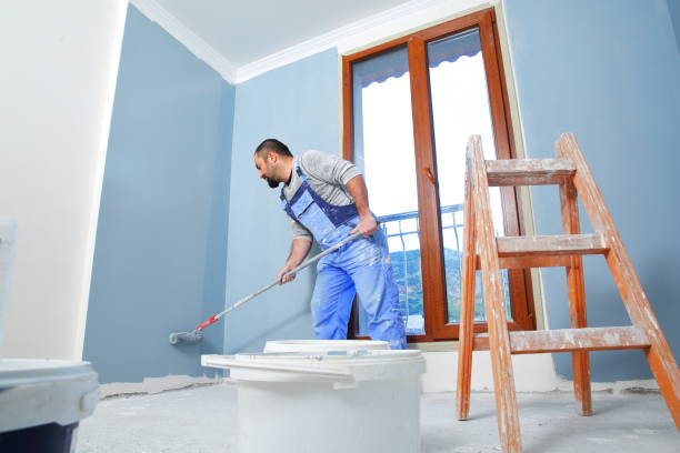 Best Mold Removal for HVAC Installations  in De Witt, NY