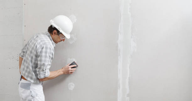 Best Air Quality Testing for Mold Spores  in De Witt, NY