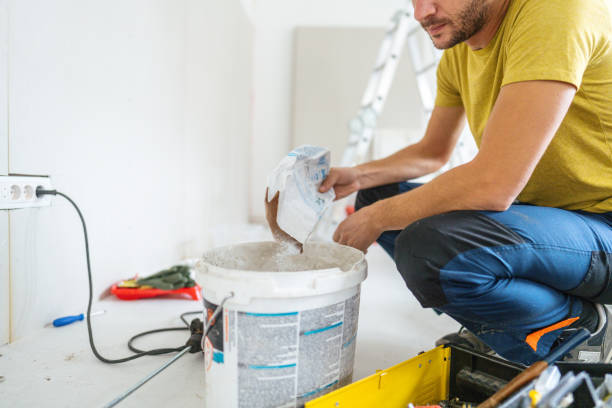 Best Mold Damage Restoration  in De Witt, NY