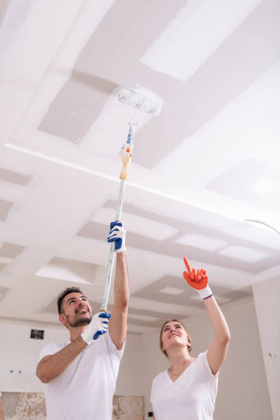 Best Indoor Air Quality Assessment  in De Witt, NY