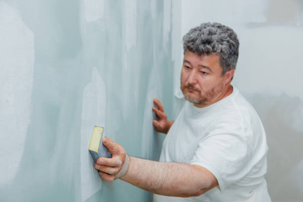 Best Attic Mold Removal  in De Witt, NY