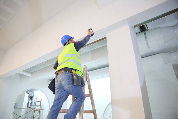 Mold Odor Removal Services in De Witt, NY
