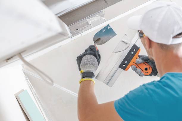 Mold Documentation for Insurance Claims in De Witt, NY